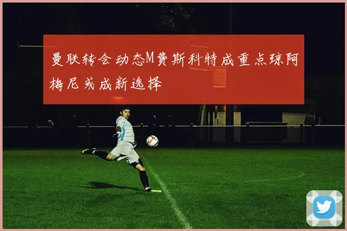曼联转会动态M费斯科特成重点琼阿梅尼或成新选择