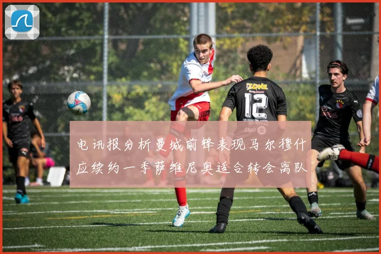 电讯报分析曼城前锋表现马尔穆什应续约一季萨维尼奥适合转会离队
