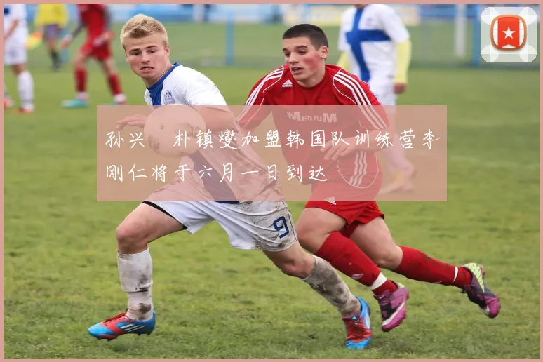 孙兴慜朴镇燮加盟韩国队训练营李刚仁将于六月一日到达