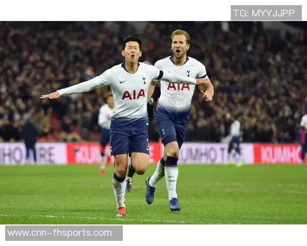 热刺对武什科维奇在汉堡的外租表现表示满意视其为球队重要一员